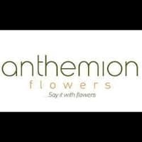 Anthemion Flowers logo